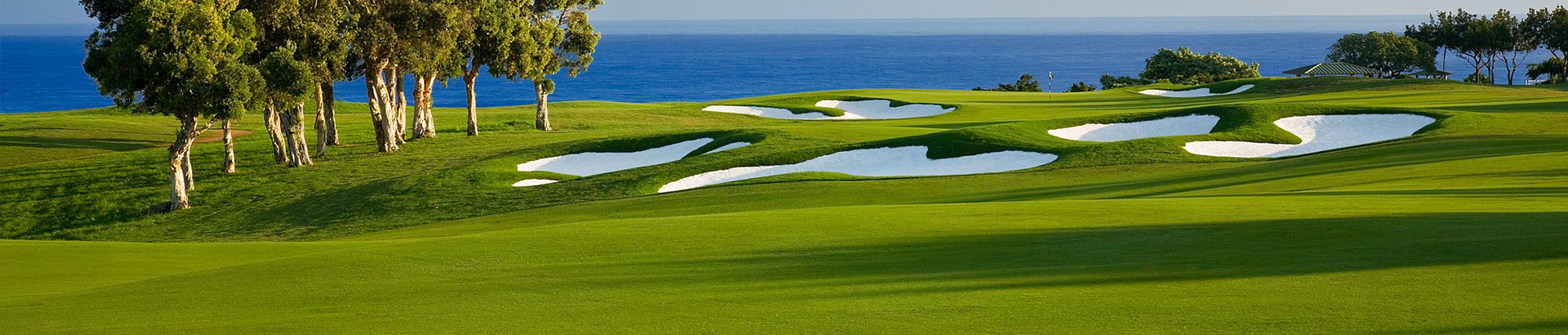 Image of golf ball on tee on grass.